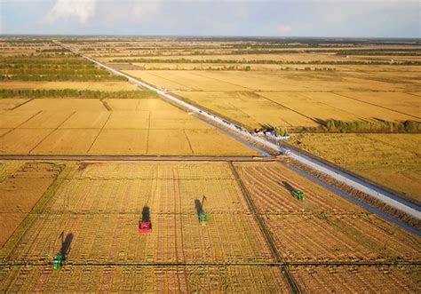 China cultivated high.
